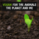Recherche de vegan voiture autocollants Droits des animaux