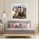 Recherche de cheval d appaloosa posters Nature