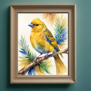 Zoek naar waterverf vogel posters Kleurrijk