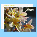 Recherche de fleurs hawaïennes cartes postales Frangipani