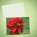 Recherche de fleur de dahlia cartes postales Pour tous