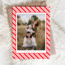 Recherche de de canne noël cartes Famille