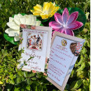 Recherche de balai invitations Élégant