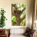 Recherche de singeries posters Animal