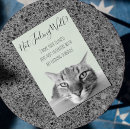 Zoek naar zieke kat kaarten Grappig