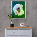 Recherche de rosier posters Rose