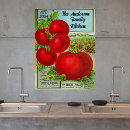 Zoek naar tomaten posters Vrucht