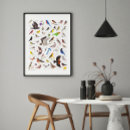 Zoek naar ornitholoog posters Geboorte