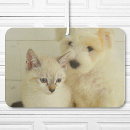 Recherche de drôle désodorisants voiture Moderne