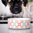 Recherche de joli animaux articles Motif