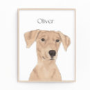 Recherche de chien domestique posters Rouge