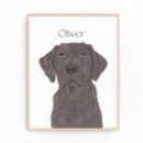 Recherche de chocolat art Labrador