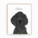 Recherche de extractie posters Pour tous