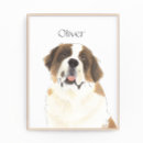 Recherche de bernard posters Saint