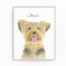 Recherche de chien brun posters Pour tous