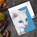 Zoek naar witte kat briefkaarten Huisdier