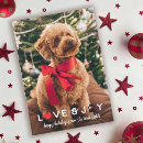 Recherche de chat heureux vœux cartes Vacances heureuses