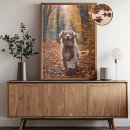 Zoek naar golden retriever puzzels Herfst