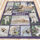 Recherche de animal photo blankets Dogs