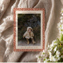 Recherche de brown thanksgiving invitations Famille