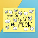 Recherche de chaton drôle vœux cartes Minou
