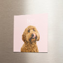 Recherche de nom magnets Pour tous