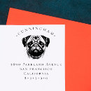 Recherche de carlin Chien carlin