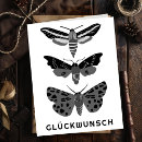 Recherche de plis cartes postales Tendance