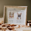 Recherche de anima Amoureux des chiens