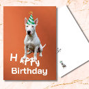 Recherche de bull terrier vœux cartes Amoureux des chiens