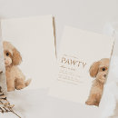 Recherche de chien de caniche invitations Chiot