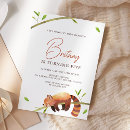 Recherche de red panda Animaux