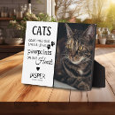 Recherche de fou animaux articles Amoureux des chats