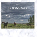 Recherche de saskatchewan cartes postales Province