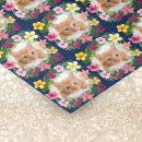 Recherche de cat tissue paper Chat