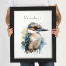 Zoek naar ijsvogels posters Kookaburra