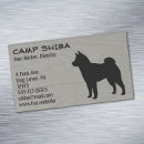 Recherche de inu de shiba Animaux