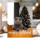 Recherche de funny merry christmas vœux cartes Cute