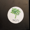 Recherche de persil Herbe
