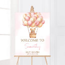 Zoek naar hete luchtballons posters Beer