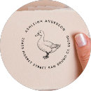 Recherche de famille de canard Vintage