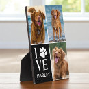 Recherche de collage animaux articles Pour tous