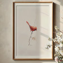 Recherche de cardinal du nord art Oiseau rouge