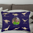 Recherche de boys coussins Dinosaures