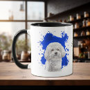 Recherche de bichons tasses Animal
