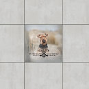 Recherche de perte carreaux Perte de l'animal