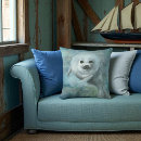 Recherche de phoque coussins Vie marine