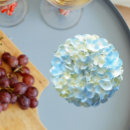 Recherche de pétales fleur dessous de verres Toute personne