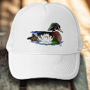 Recherche de le canard casquettes Faune