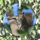 Recherche de le faune ornements Rustique